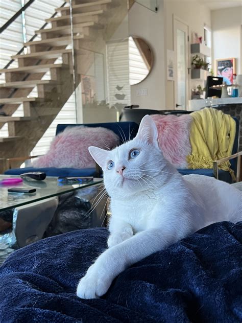 Best Tomcat Images On Pholder Warplane Porn Aviation And Willwood