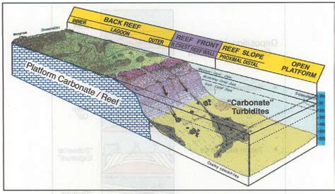 Figure From Seismic Interpretation Of Carbonate Turbidites In Central