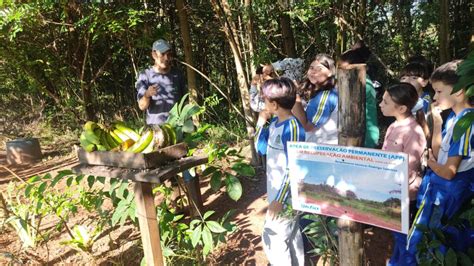 Primeira Turma De Patrulheiros Ambientais Mirins Formada Em Ourinhos