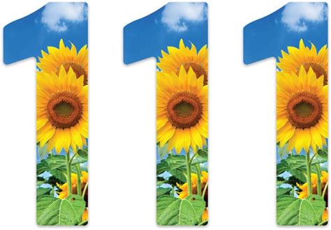 Whl Pack Of Wheelie Bin House Numbers Sunflower Number Amazon