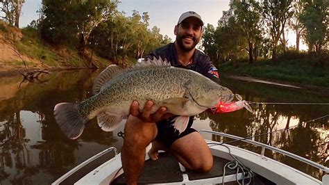 Epic Murray Cod Fishing Weekend Youtube