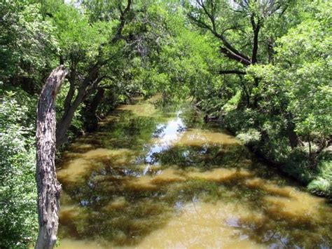 365 Acres In Hamilton County Texas