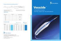 Ptca Catheter Vesscide Lepu Medical Technology Coronary Balloon