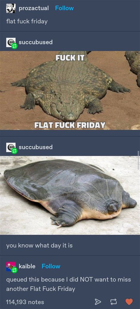 Flat Fuck Friday R CuratedTumblr