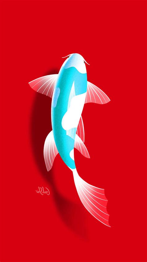 Koi Fish Wallpaper Ixpap