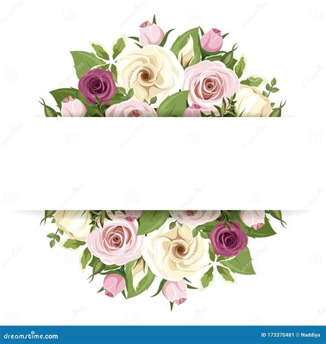 Background Banner With Pink And White Flowers Vector Illustration