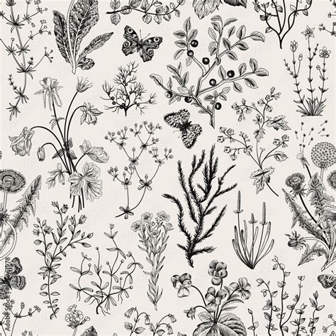 Vector Vintage Seamless Floral Pattern Herbs And Wild Flowers