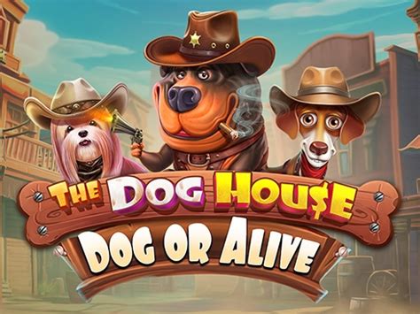 The Dog House - Dog or Alive (Pragmatic Play) | Chips.gg