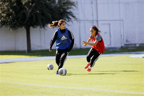 La Previa Ante Necaxa Femenil Club Tigres Uanl