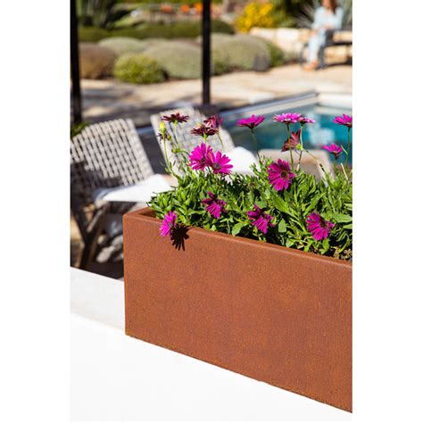 Veradek Corten Steel Series Window Box Planter Reviews Wayfair