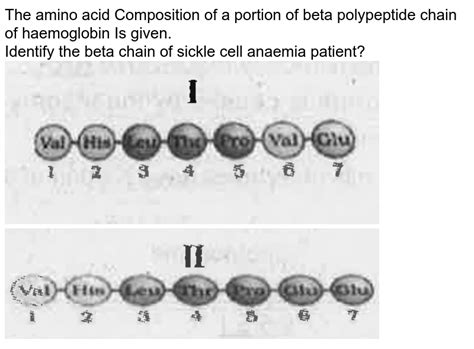 In Sickle Cell Anemia A Hereditary Disease There Is Substitution