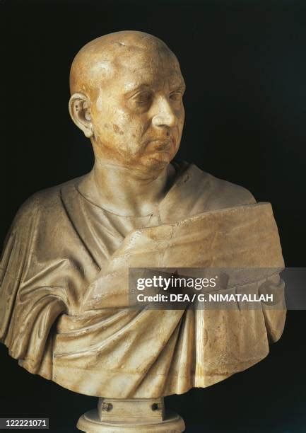 Bust Of Publius Cornelius Scipio Africanus Photos And Premium High Res