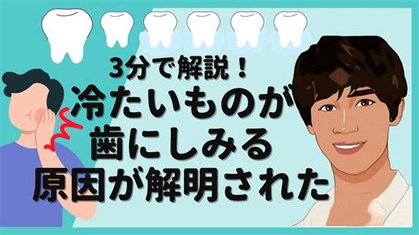 【3分解説】冷たいものが歯にしみる原因が解明された〔7〕 Youtube