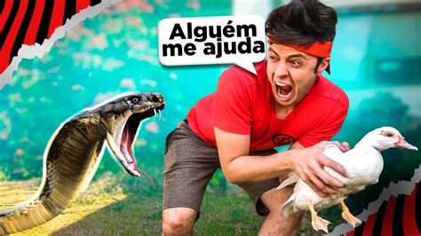 UMA COBRA APARECEU NA ELO E ATACOU O NOSSO PATO YouTube