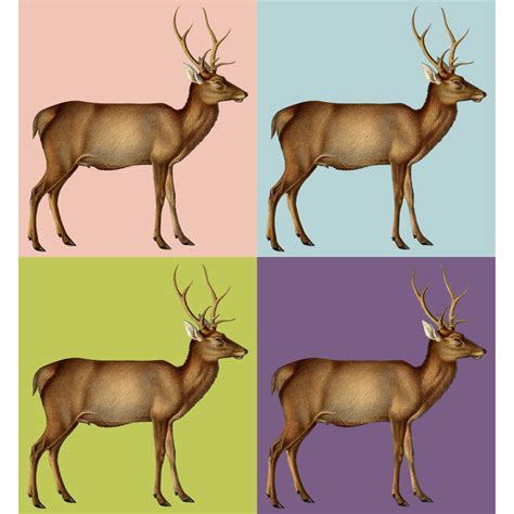 Manchurian Wapiti Animal Tofujoe