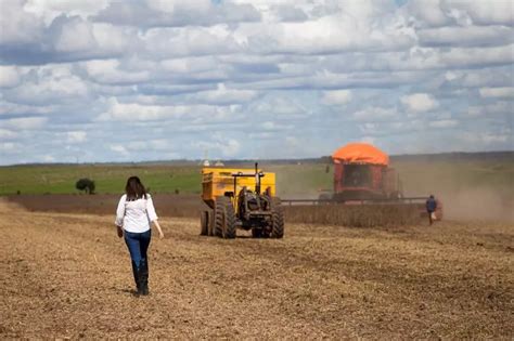 Dia Internacional Da Mulher Rural Conhe A A Origem Da Data Brasil