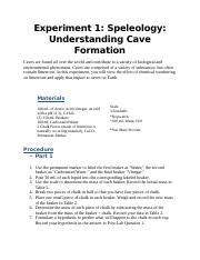 Lab Experiment Docx Experiment Speleology Understanding