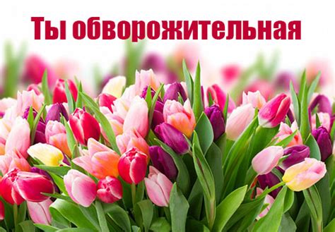 Картинки с надписью - Ты обворожительная!.