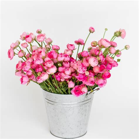 Diy Flower Buckets — Pretty Flower Farm