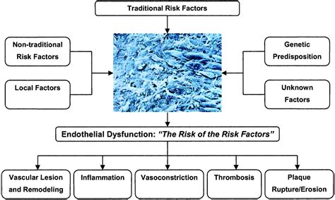 Endothelial Dysfunction Arteriosclerosis Thrombosis And Vascular