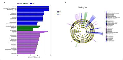 Effect Of Qwbzp Crude Polysaccharide On The Characteristic Intestinal