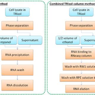 Figure S2. Simplified procedures in the TRIzol method and the combined... | Download Scientific ...