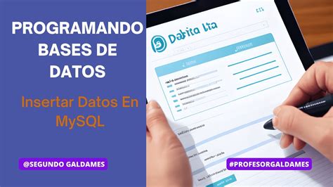 C Mo Insertar Datos En Mysql Programandobasesdedatos Mysql Youtube