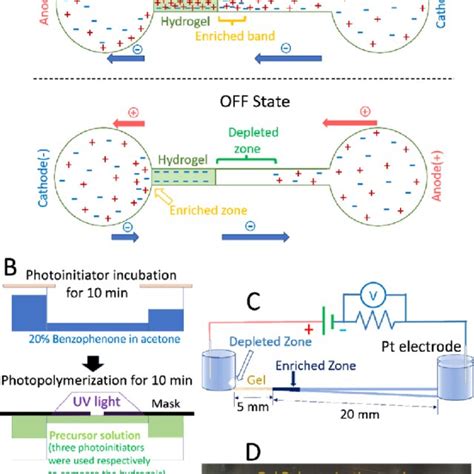 Overview And Experimental Setup A Schematics Of Asymmetric Cp With