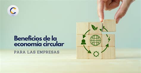 Economía Circular Tejiendo Un Futuro Sostenible A Través De Prácticas Innovadoras Y Consumo