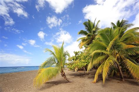 Les 10 Plus Belles Plages De Martinique Generation Voyage