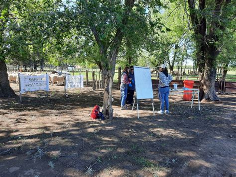 El RENATRE continúa con el ciclo de capacitaciones en Manejo Bovino y