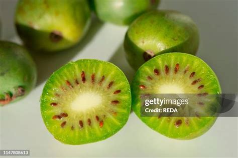 626 Mini Kiwi Stock Photos, High-Res Pictures, and Images - Getty Images