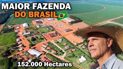 CONHEÇA A MAIOR FAZENDA DO BRASIL Fazenda Roncador YouTube