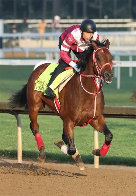 【注目馬動向】フォーエバーヤングは予定通りジャパンダートクラシックで始動 ラムジェットと直接対決へ ライブドアニュース