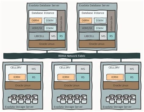 Exadata Architecture Oracle Exadata Database Machine Oracle Technology