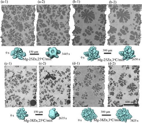 Images Showing The Evolution Of Dendritic Structures Of Mg Wt Zn