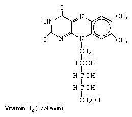 Riboflavin | Vitamin B2, Nutrient, Coenzyme | Britannica