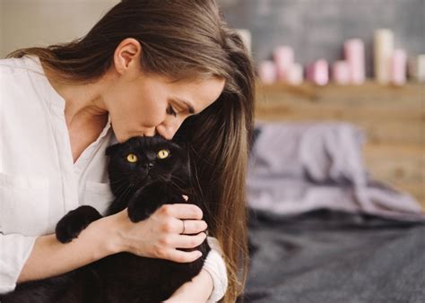 7 Fascinating Facts About Black Cats You Probably Didn’t Know