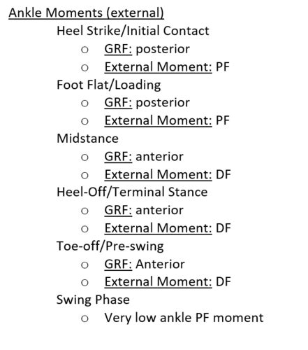 kines exam 2 Flashcards | Quizlet 