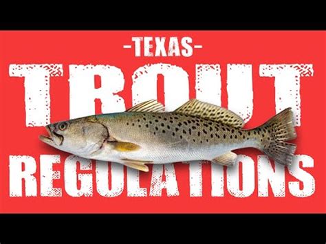 Speckled Trout Size Limit In Texas 2022 Texas Fishing Regulations