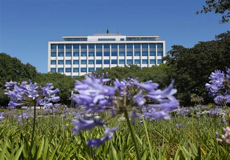 USP Lidera Ranking De Universidades Empreendedoras No Brasil 15 02