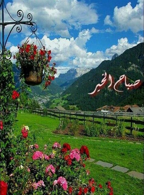 صباح الخير