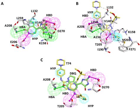 Pharmacophore Mapping With Active Site Residues Of Ack A Pdb Id