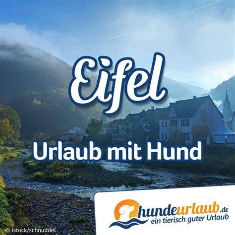 Urlaub Mit Hund In Der Eifel In Einer Hundefreundlichen Ferienwohnung