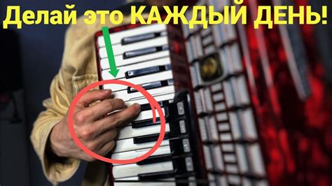 ЛУЧШЕЕ УПРАЖНЕНИЕ на Аккордеоне для Начинающих / Уроки аккордеона для ...