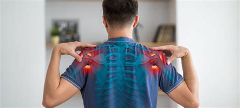 What can you tear in your shoulder? - Physical Therapy by Phoenix