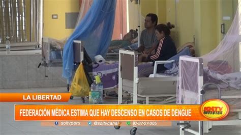 La Libertad Registra Descenso En Casos De Dengue