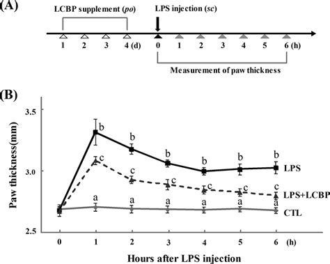 The Inhibitory Effect Of Lcbp On Lps Induced Mouse Paw Edema A The