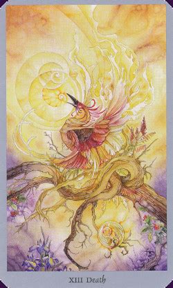 Shadowscapes Alma E Paz