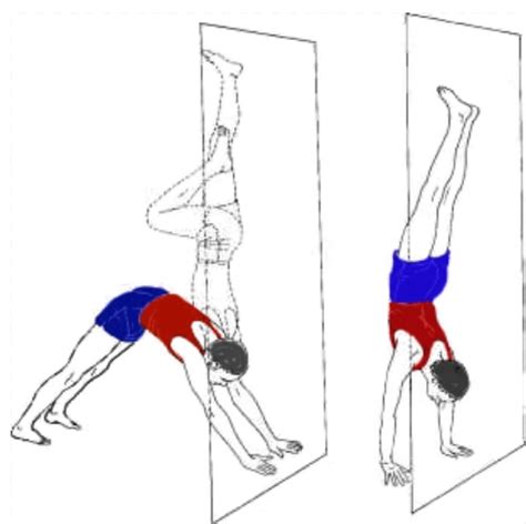 Adho Mukha Vrksasana - Handstand Yoga Pose Steps and Benefites ...